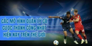 Quản lý cá cược Fibonacci giảm thiểu rủi ro lỗ vốn
